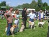classe ouverte femelle (ukraine, rebecca, utha, saga, txistu)